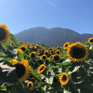 Meet your Posher, Raiyah